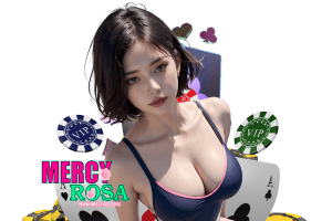 mercyrosa ทางเข้า